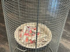 -鑫龙火锅城(青岛分店)