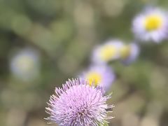 -南大港湿地风景区