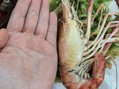 -渔娘蟹庄(阳澄湖莲花岛店)