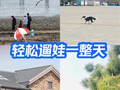 -黑石礁公园