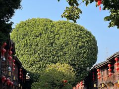 -三坊七巷历史文化街区