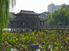 -孺子亭公园