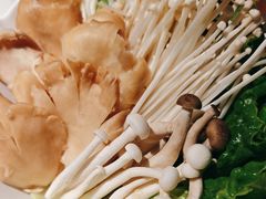 -九鼎轩脆毛肚火锅(三钢里店)