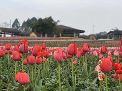 -保利石象湖景区