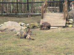 -祥源·阜阳生态乐园