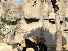 -上海野生动物园