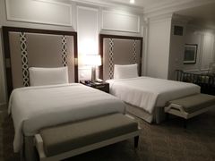 -澳门威尼斯人综合度假区