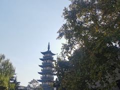 -秋霞圃