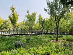 -东郊湿地公园