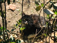 -中华人民共和国商务部国际贸易经济合作研究院