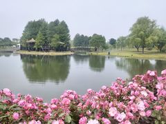 -上海辰山植物园