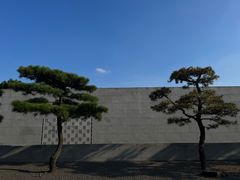 -养云安缦吧THE BAR