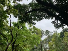 -九龙公园