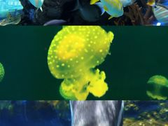 -福州罗源湾海洋世界旅游区