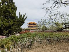 -曹州百花园