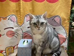 -小时光咖啡馆(北锣鼓巷店)