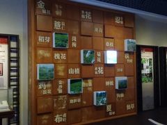 景点-广州神农草堂中医药博物馆