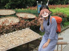 -宁波五龙潭景区
