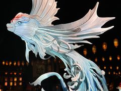 -横店影视城梦幻谷园区