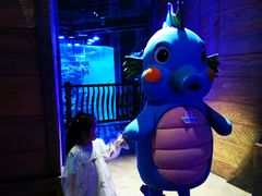 -青岛嘉年华主题乐园