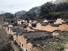 -杨家堂村