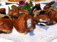-席家花园(巨鹿花园店)