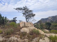 -沂蒙山旅游区云蒙景区(蒙山国家森林公园)