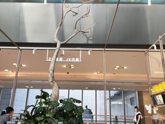 -港汇恒隆广场