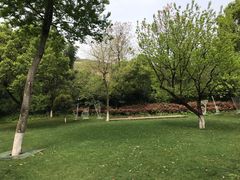 -天目湖御水温泉·度假酒店