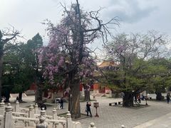 -北京国子监胡同