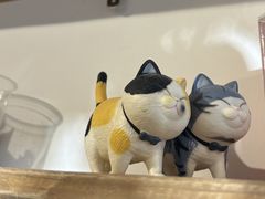 -吉丁鸟咖·异宠·寄养