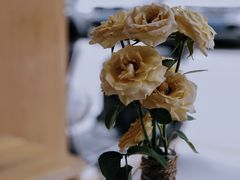 -Cafe on warm(丹霞店)