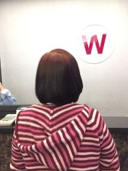 -维卡 Salon
