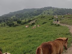 -灵山