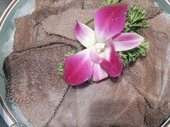 -俏媳妇火锅(宽窄巷子店)