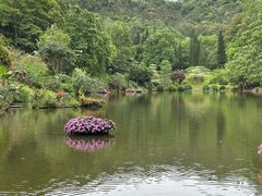 -深圳仙湖植物园