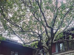 -蒋氏故居