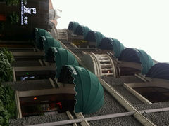 android_upload_pic-巴厘龙虾·榜首油焖大虾(洞庭·艺术洋房店)