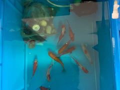 -三旗百汇商品城