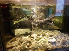 -珍宝轩海鲜火锅(碧湖大厦店)