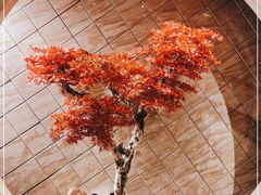 -红辣椒·川菜·火锅(朝外店)
