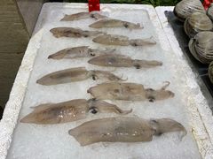 -蚝专家(北滘店)