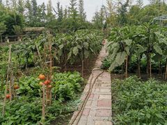 -洪湖家庭农场·团建·露营·会议