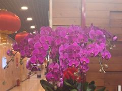 -东四民芳餐厅(世茂工三店)