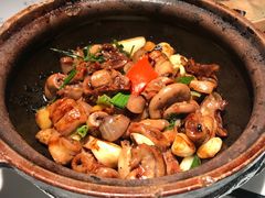 -大榕树下顺德菜(融创茂店)