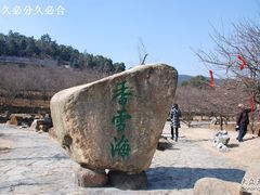 -香雪海