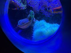 -太平洋海底世界