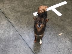 -滨海高尔夫俱乐部