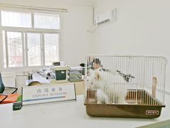 -北京观赏动物医院·24小时大型综合·猫专科·异宠专科