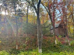 -水上乐园·欢乐世界